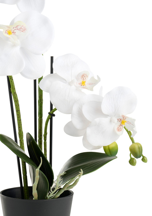 Kunstig orkidé hvid 46 cm